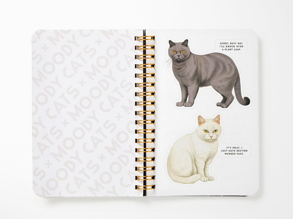 Moody Cats Sticker Book