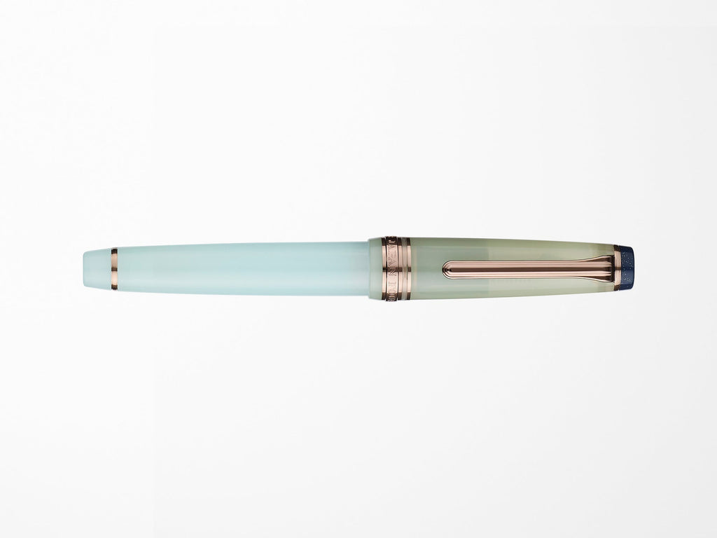 Sailor Pro Gear Slim Fountain Pen - Dried Flowers - Hydrangea